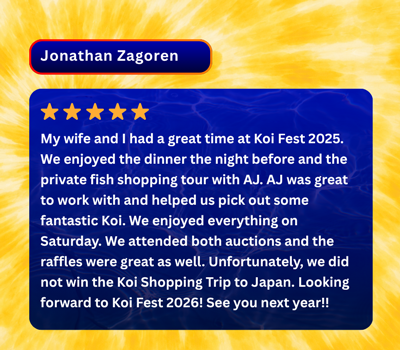 Koi Fest Review 1