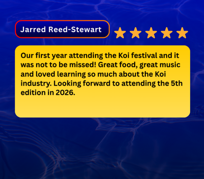 Koi Fest Review 5