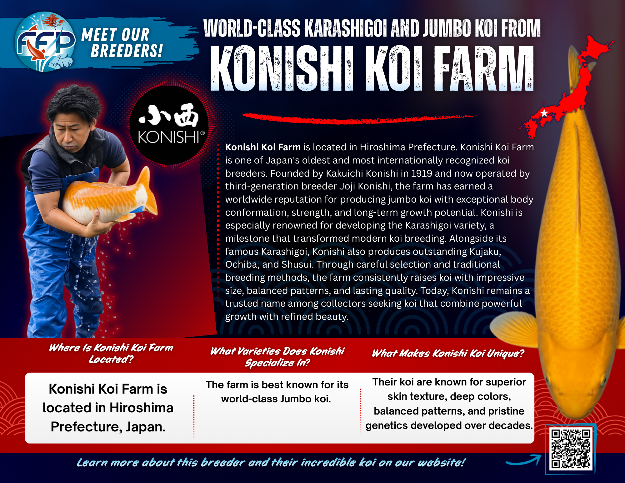 This Breeder Specializes in: Karashigoi, Kujaku, Ochiba and Shusui. Konishi Koi Farm is one of Japan’s most historic and globally recognized breeders, located in Hiroshima and founded in the early 20th century. Established by Kakuichi Konishi and later expanded with a main shop in Misasa in 1963, the farm has evolved into a powerhouse known for producing some of the largest koi in the world. Today, it is led by third-generation owner Joji Konishi, who continues the family legacy with a focus on size, strength, and distinctive bloodlines.
