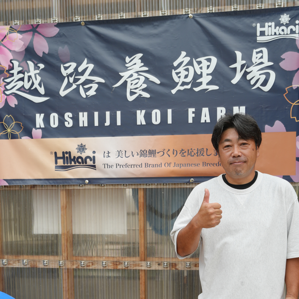 KOSHIJI