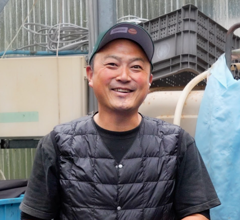 Marusaka Koi Farm in Niigata, Japan, is known for vibrant metallic koi, including Kujaku, Hariwake, and Yamato Nishiki, bred with sharp color and clean patterns.