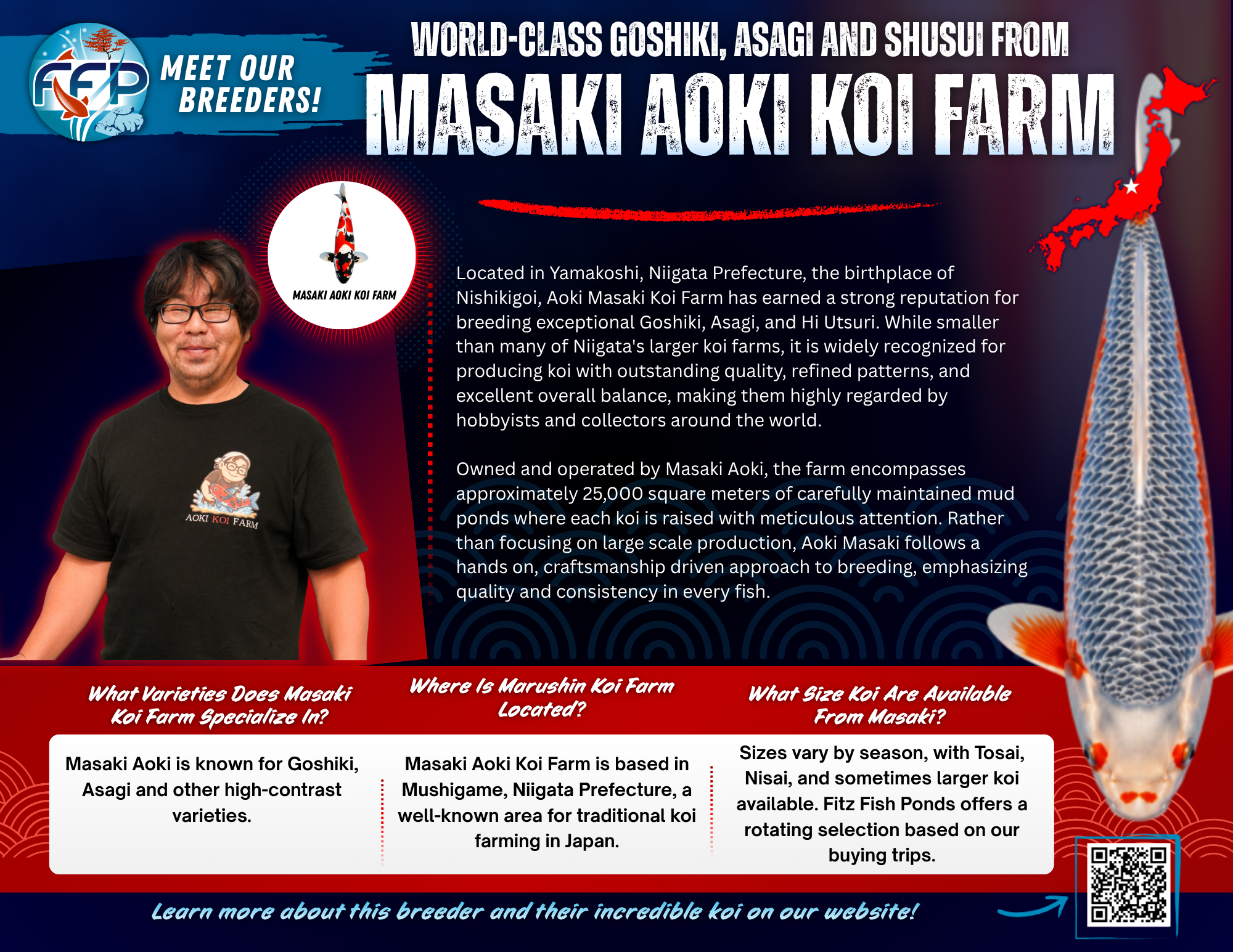 Masaki Koi Farm is a respected name in the Niigata koi breeding community, run by Masaki Aoki — not to be confused with the more widely known Aokiya Koi Farm. This family-run operation is located in the town of Mushigame, one of the most historically rich areas in Japanese koi culture.