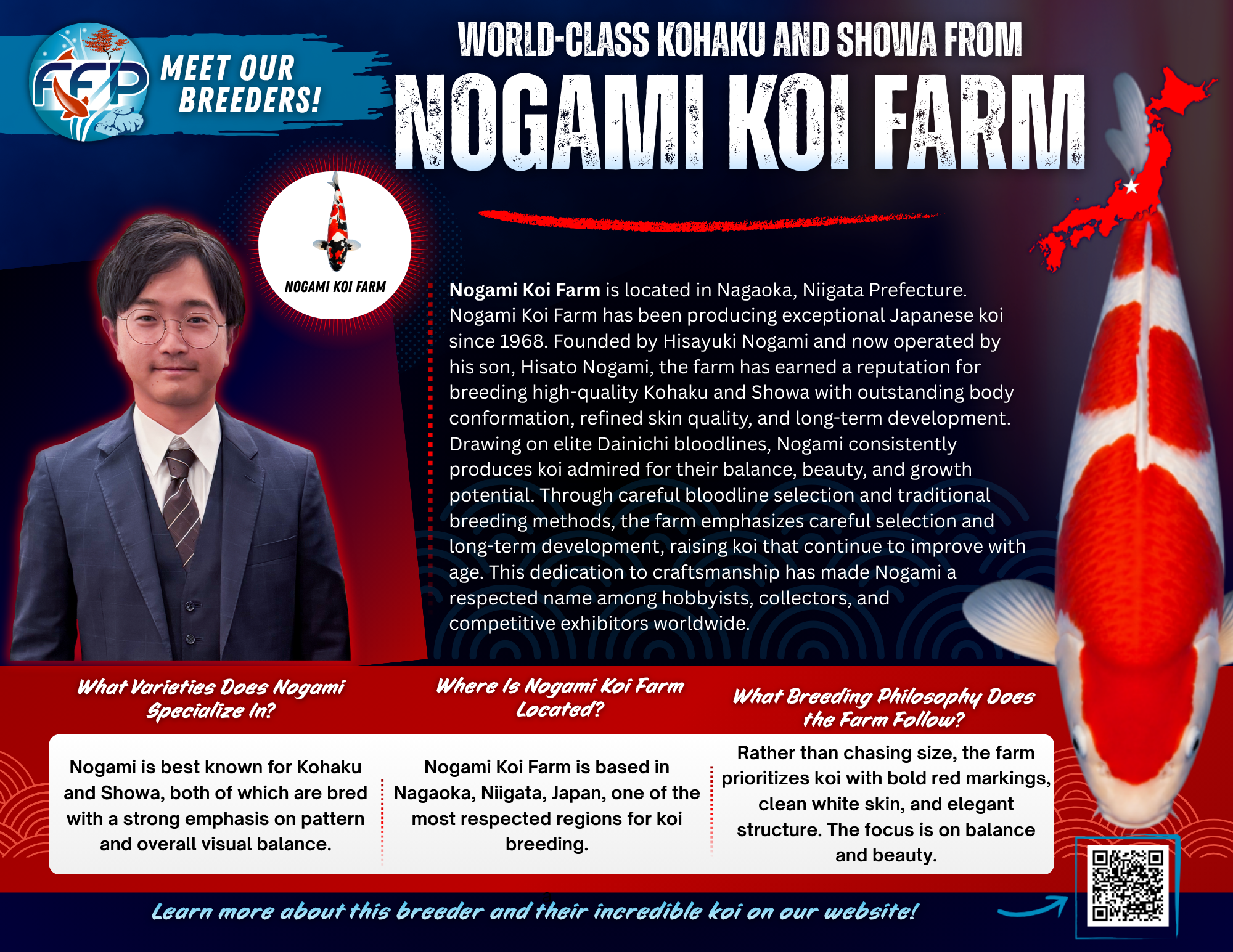 Hisato Nogami trained for sixteen years under the founder of Dainichi Koi Farm, an experience that heavily shaped the farm’s breeding philosophy. That influence is visible in the body conformation, skin quality, and long-term development potential found in Nogami koi today.