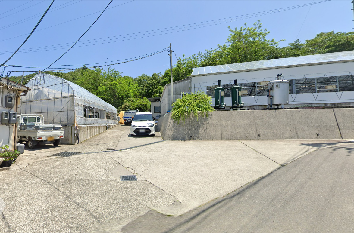 Buy Shiro Utsuri koi from Omosako Koi Farm—award-winning breeders from Japan, known for world-class black-and-white koi and superior bloodlines.