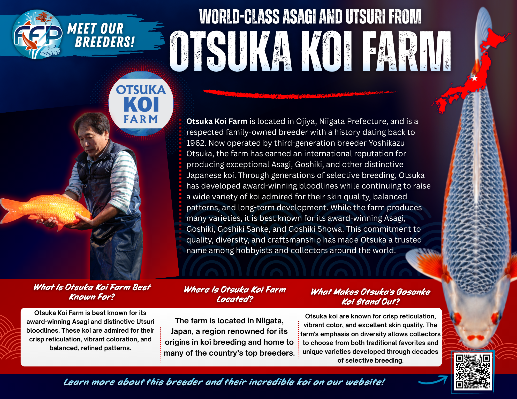 Otsuka Koi Farm has earned a strong reputation as one of Japan’s most respected koi producers, known for blending refined tradition with creative variety. Located in Niigata, the birthplace of Nishikigoi, the farm was founded in 1962 and remains family-owned. Today, it is operated by Yoshikazu Otsuka, a third-generation breeder who continues to evolve the farm’s vision while preserving the craftsmanship that has defined Otsuka koi for decades.
