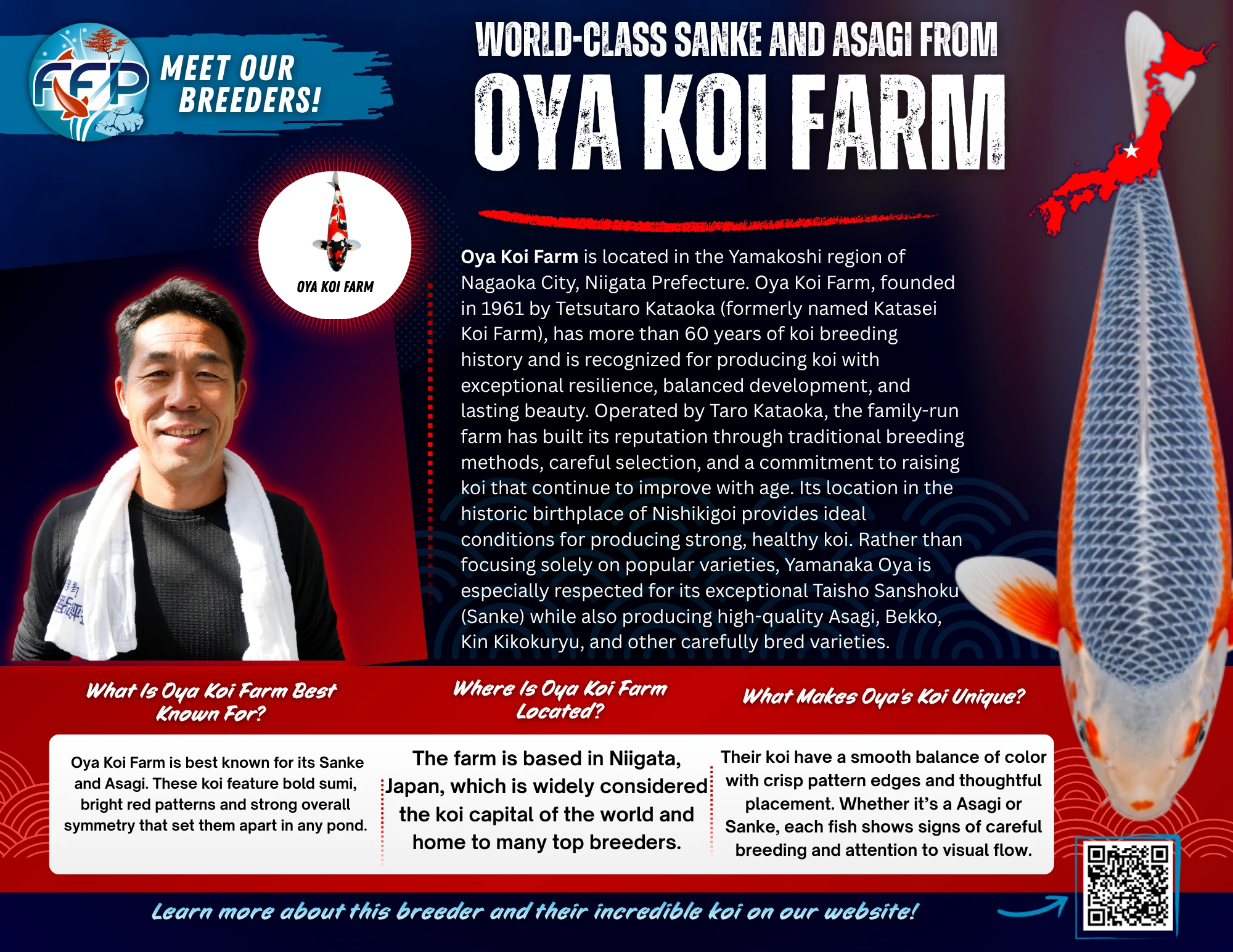 This Breeder Specializes in: Kohaku, Showa, and Sanke. Oya Koi Farm, often referred to simply as Kataoka after its breeder, is one of Niigata’s most respected koi farms, known for producing koi with exceptional refinement, balance, and skin quality. Located in the mountainous Koguriyama area of Ojiya, Niigata, the farm is operated by Taro Kataoka, a breeder widely regarded as one of Japan’s leading craftsmen of traditional Nishikigoi.