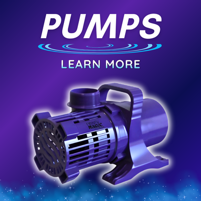 pumps.png