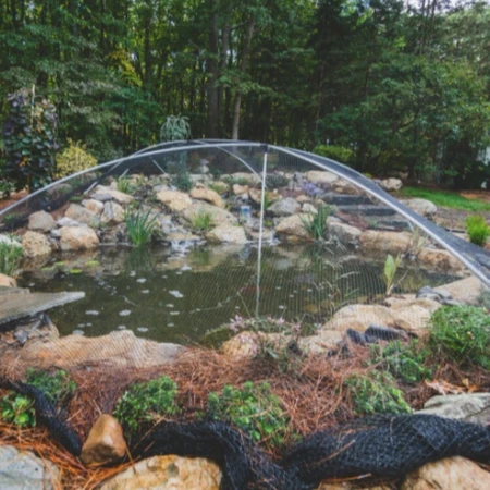 Pond Service and Maintenance