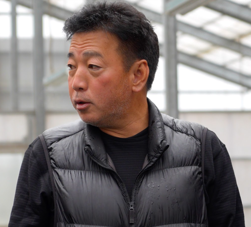 Buy Isa Showa koi online—hand-selected for deep sumi, rich red beni, and championship bloodlines bred for size, growth, and show success.