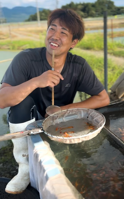 Discover beautiful butterfly and Ginrin koi from Suda Koi Farm, one of the few Japanese breeders specializing in Hirenaga varieties alongside traditional Gosanke.