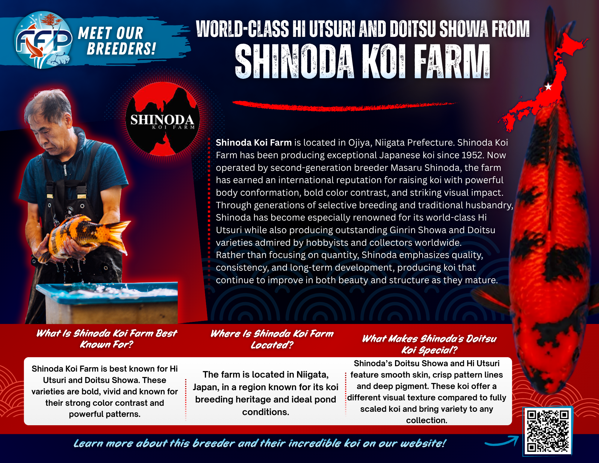 From its earliest days, Shinoda Koi Farm has focused on producing koi that stand out visually and structurally. That commitment has positioned the farm as a destination breeder for collectors who value strength, clarity, and high-impact patterning.