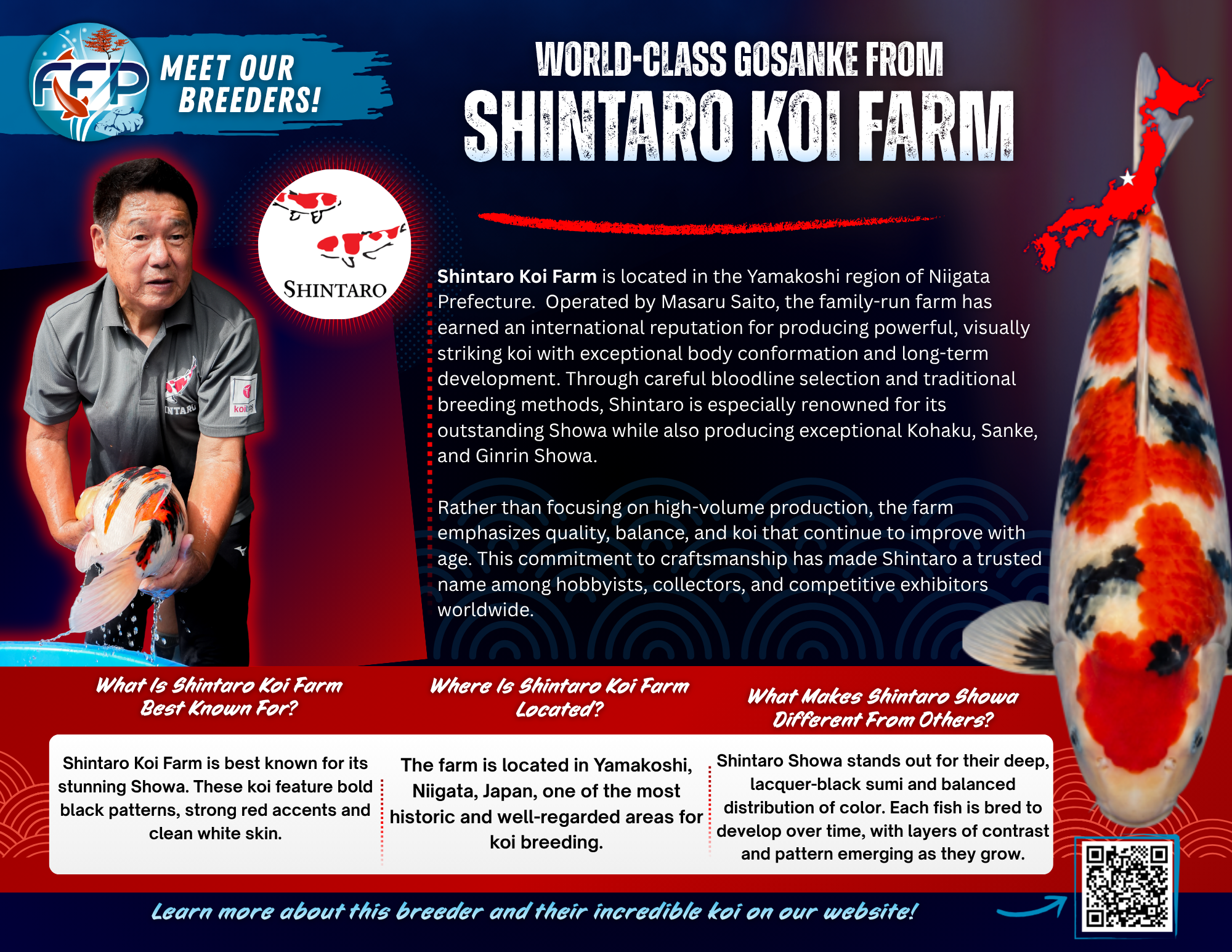  This Breeder Specializes in: Kohaku, Sanke, Showa, and Ginrin Showa. Shintaro Koi Farm is located in the historic Yamakoshi region of Niigata, Japan, an area widely regarded as the spiritual home of Nishikigoi. Operated by Masaru Saito, Shintaro has grown into one of the most respected names in modern koi breeding, earning global recognition for producing powerful, visually striking koi with exceptional presence.