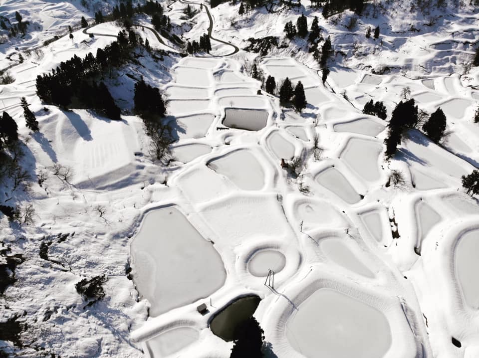 Japan mud ponds in winter