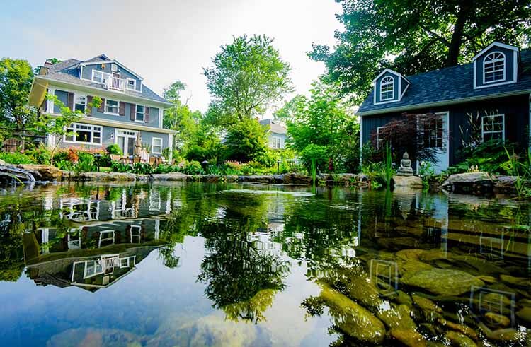 Swimming Ponds & Natural Pools