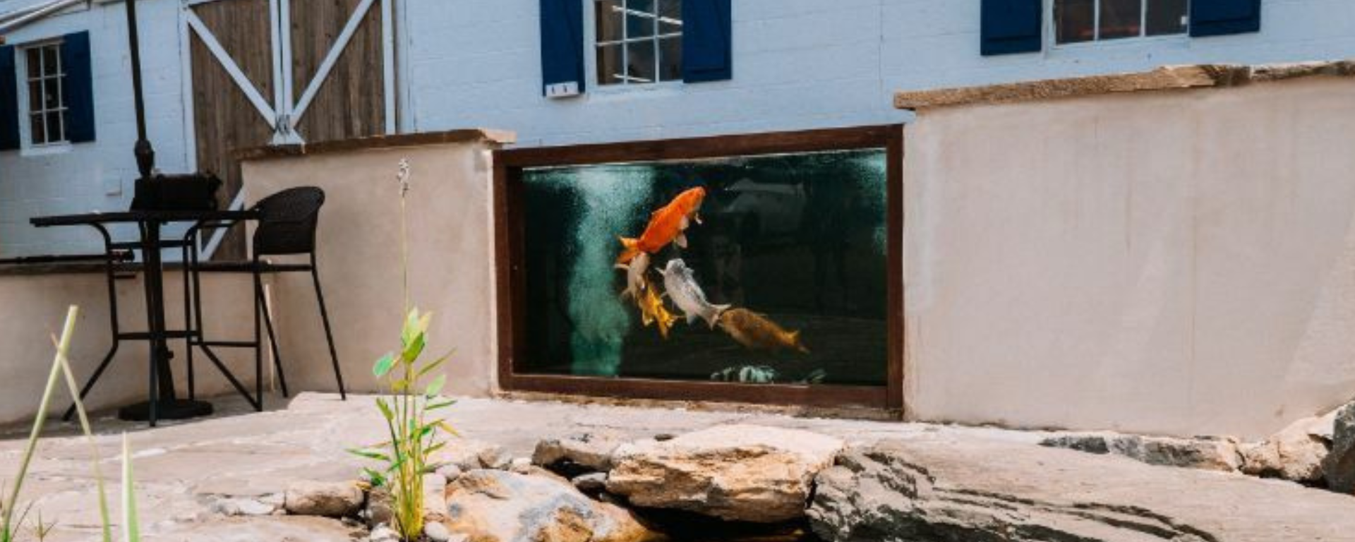 Ponds & Water Cleaning Services NJ, NY, PA | Fitz's Fish Ponds