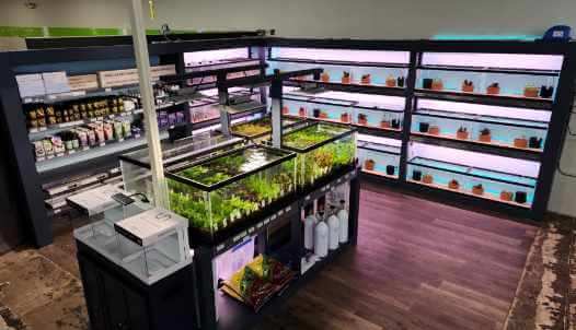 FFP Green Brook: Aquariums & Aquascaping Store Open Now! - Fitzs Fish Ponds
