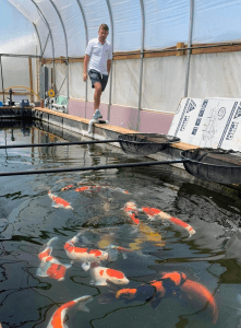 Supporting Koi Enthusiasts and Building Community Supporting Koi Enthusiasts and Building Community