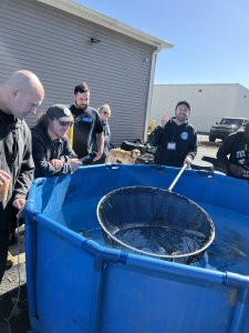 Expert Advice, Live Koi Auction, and Community Fun at Fairfield Spring Koi Kickoff! Koi Auction