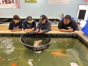 Expert Advice, Live Koi Auction, and Community Fun at Fairfield Spring Koi Kickoff! Expert Advice, Live Koi Auction, and Community Fun at Fairfield Spring Koi Kickoff!