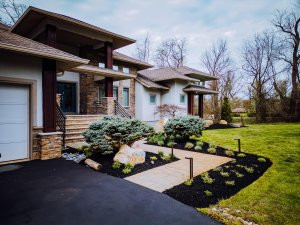 masses of low growing purple/green junipers, compact ornamental grass, and flowering shrubs masses of low growing purple/green junipers, compact ornamental grass, and flowering shrubs