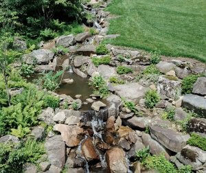 Fitz&rsquo;s Fish Ponds transformed this blank mountainside in Pennsylvania A Symphony of Nature's Elements