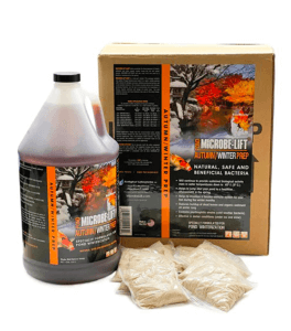 Maximizing Koi Health in Fall/Winter: A Guide to Wheat Germ Hikari Food and Microbe Lift Fall/Winter Bacteria-image-2