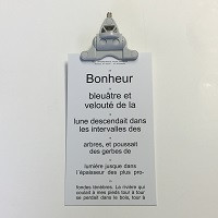 NIDEK Nearpoint Card & Holder (French Reading Card) for Rt-5100/Rt-3100
