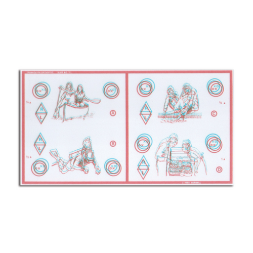 BERNELL - Tranaglyph Slide Vertical (BC71)