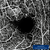 Heidelberg Spectralis OCT Angiography Module