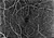 Heidelberg Spectralis OCT Angiography Module