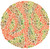 Ishihara Colour Test
