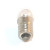 Hess Screen Bulb (10 Pack)