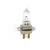 Bulb for Nikon NS1/FS2/FS3/Z30SL, Marco G2/G4/G5, NIDEK 1600/1800, S4OPTIK, 9902X/H2 (12V/30W)