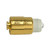 Heine Halogen XHL 2.5V Bulb