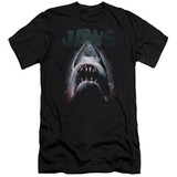 Jaws Terror In The Deep Adult 30/1 T-Shirt Black