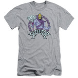 Masters Of The Universe Skeletor Adult 30/1 T-Shirt Athletic Heather