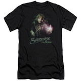 Lord of the Rings Samwise The Brave Premium Canvas Adult Slim Fit 30/1 T-Shirt Black