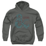 Dungeons and Dragons Ampersand Classes Youth Pullover Hoodie Sweatshirt Charcoal