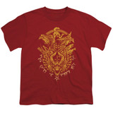 Dungeons and Dragons Tryanny Of Dragons Youth 18/1 T-Shirt Cardinal