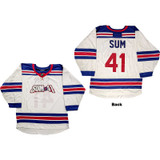 Sum 41 Unisex Hockey Jersey Stripes (Back Print) (Ex-Tour)