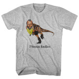 Mr. T Piteous Foolious Gray Heather Adult T-Shirt