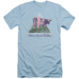 Pink Floyd Atom Mother Heart Pyramid Adult 30/1 T-Shirt Light Blue