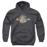 Pink Floyd Welcome To The Machine Youth Pullover Hoodie Sweatshirt Charcoal