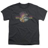 Pink Floyd Welcome To The Machine Youth T-Shirt Charcoal