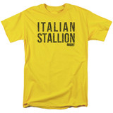 Rocky Italian Stallion Adult 18/1 T-Shirt Yellow