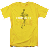 Rocky Stallion Swag Adult 18/1 T-Shirt Yellow