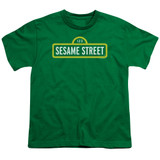 Sesame Street Logo Youth T-Shirt Kelly Green