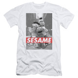 Sesame Street Sesame Adult 30/1 T-Shirt White
