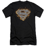 Superman Steel Fire Shield Premium Canvas Adult Slim Fit 30/1 T-Shirt Black