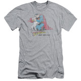 Superman And His Dog Adult 30/1 T-Shirt Athletic Heather